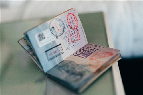 How do I apply for an F-1 (Student) Visa?